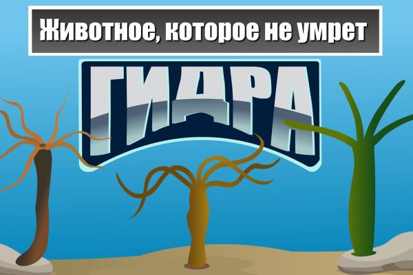 Кракен маркетплейс нарко